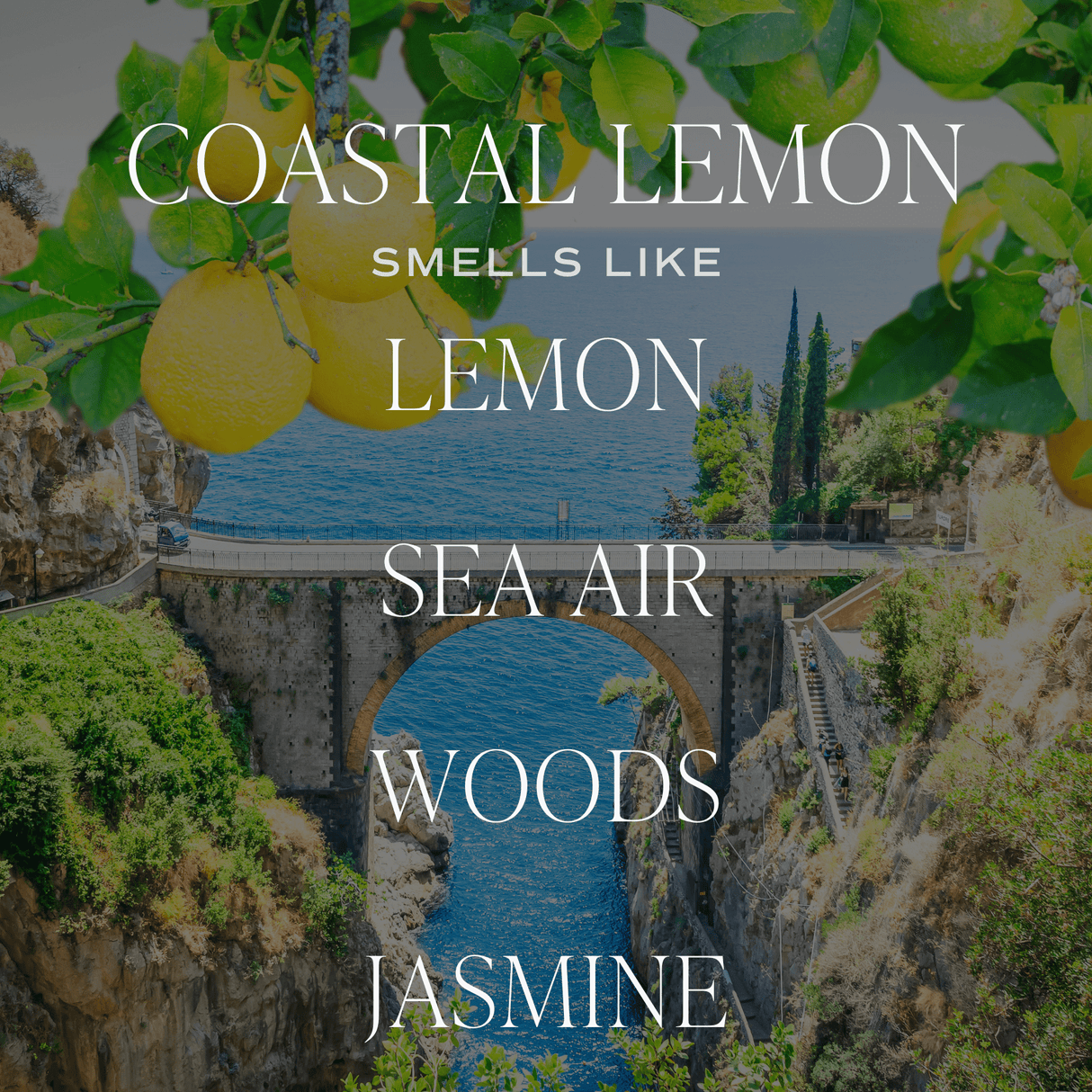 Coastal Lemon Soy Candle - Clear Jar - 9 oz