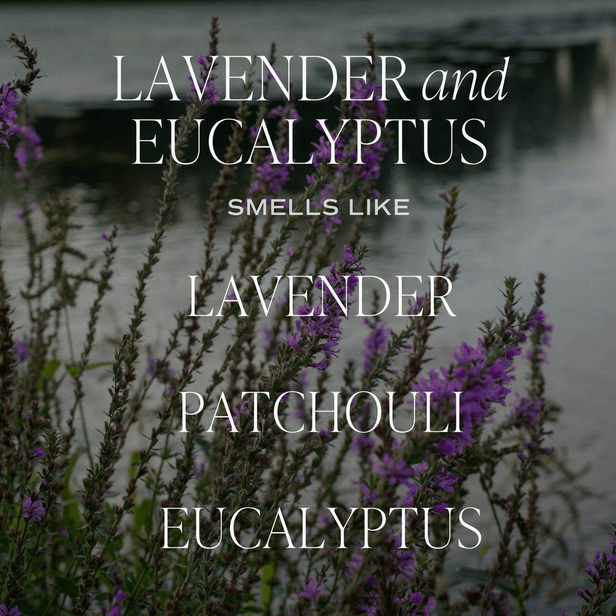 Lavender and Eucalyptus Tinted Glass Jar Reed Diffuser
