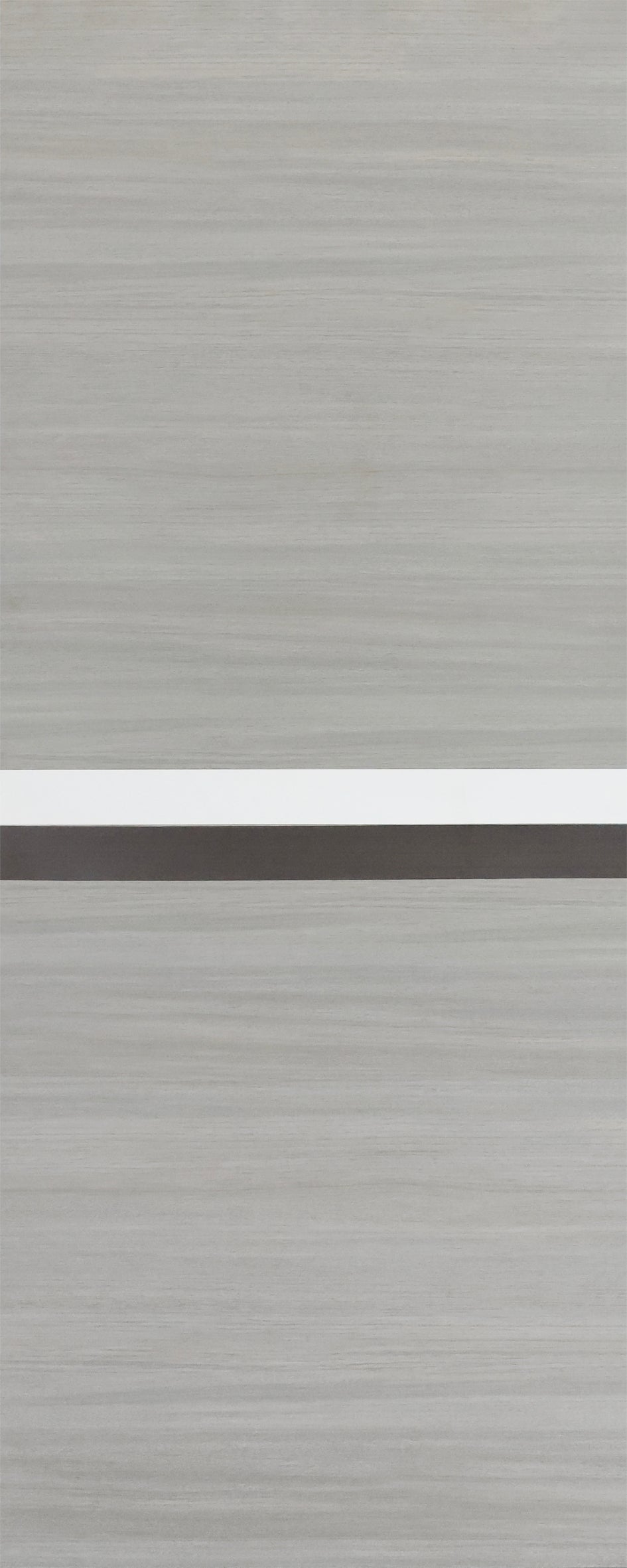 Crazy Elf Melamine Integrated Door Slab