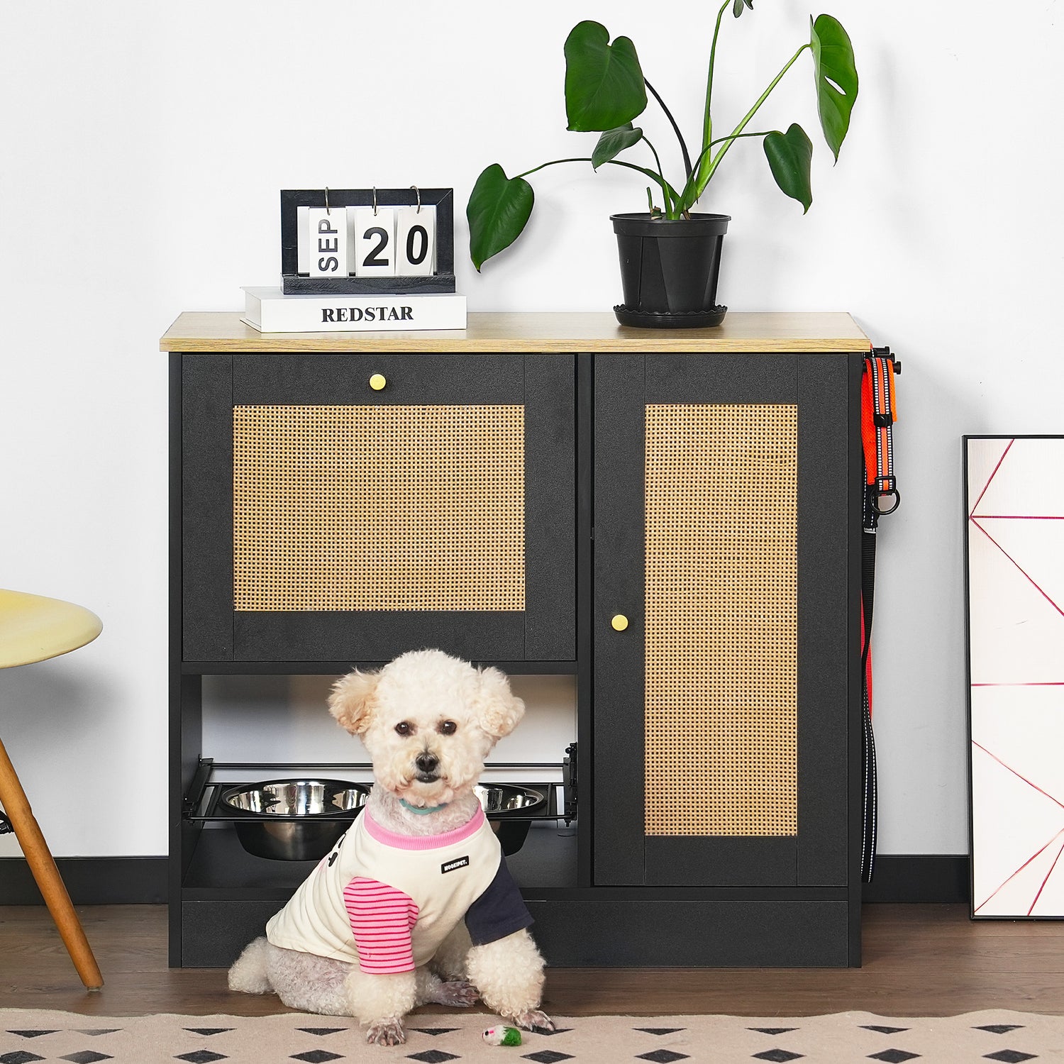 Feeding station with 2 lockers, pet feeding station with 2 elevated dog bowls, black