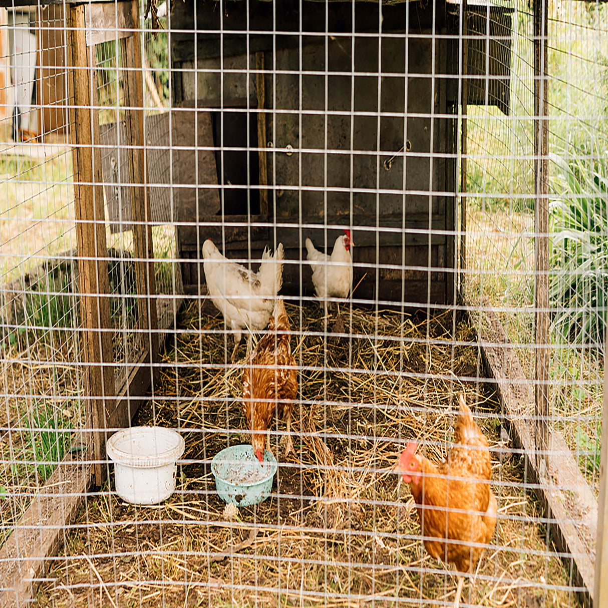 Galvanized Hardware Cloth, Gauge Metal Wire Fencing Roll For Garden And Animal Protection - Silver