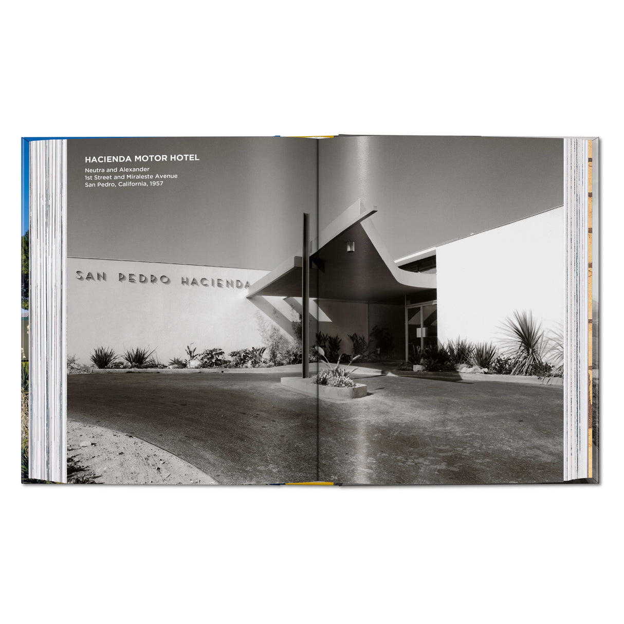 Neutra. 45th Ed. (English)