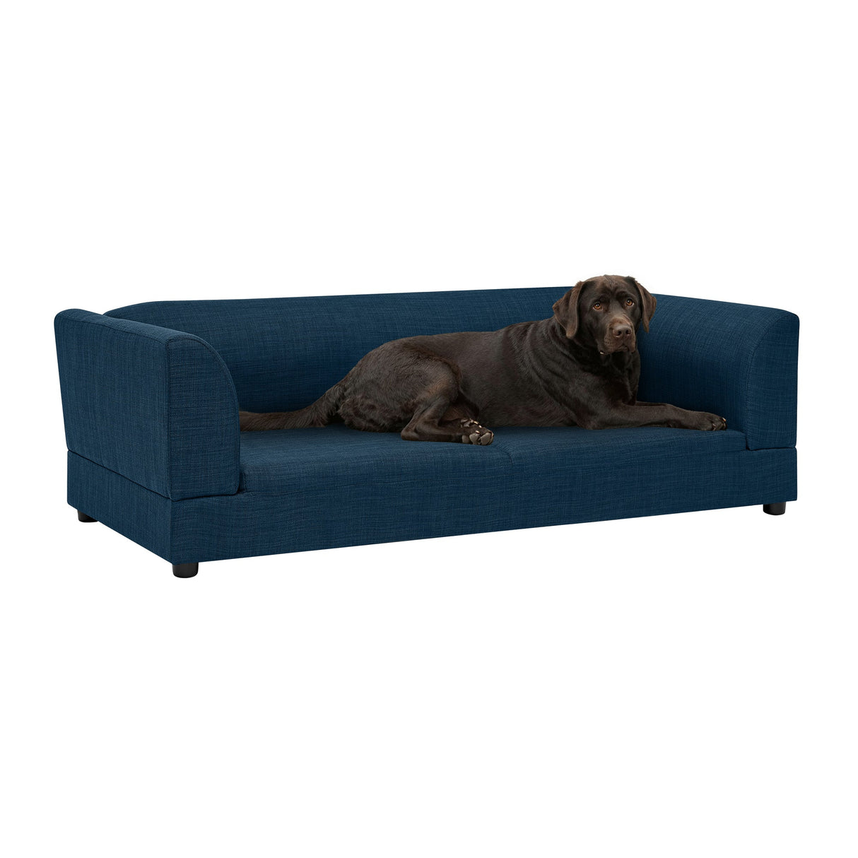 Comfortable Oversized Pet Sofa for Medium and Large Dogs