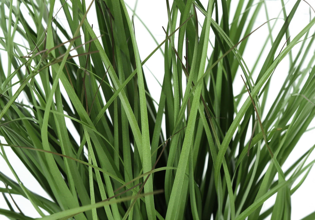 23" Tall Artificial Grass Plant, Real Touch Greenery