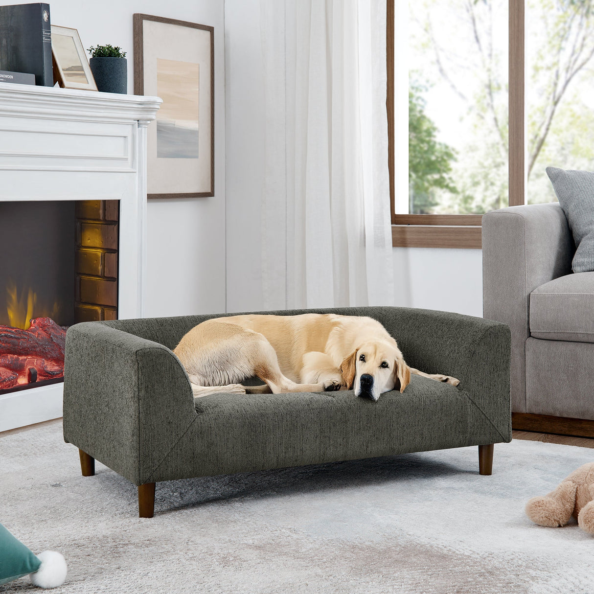 Modern Rectangular Pet Sofa with Backrest and Armrests