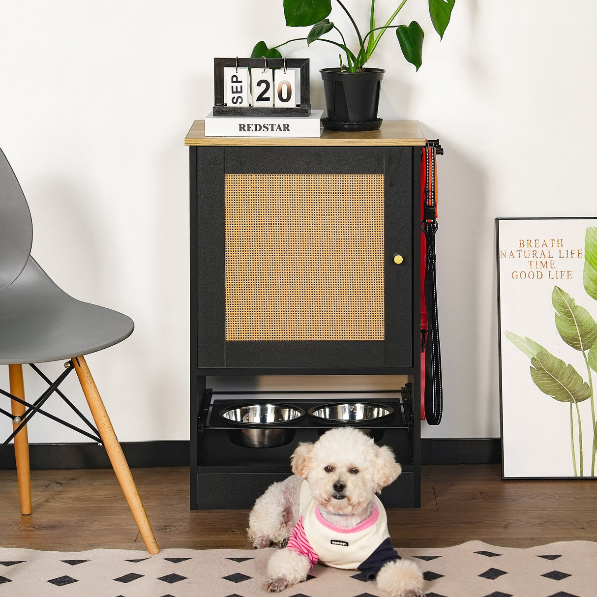 Feeding Station with 1 Storage Cabinet Black