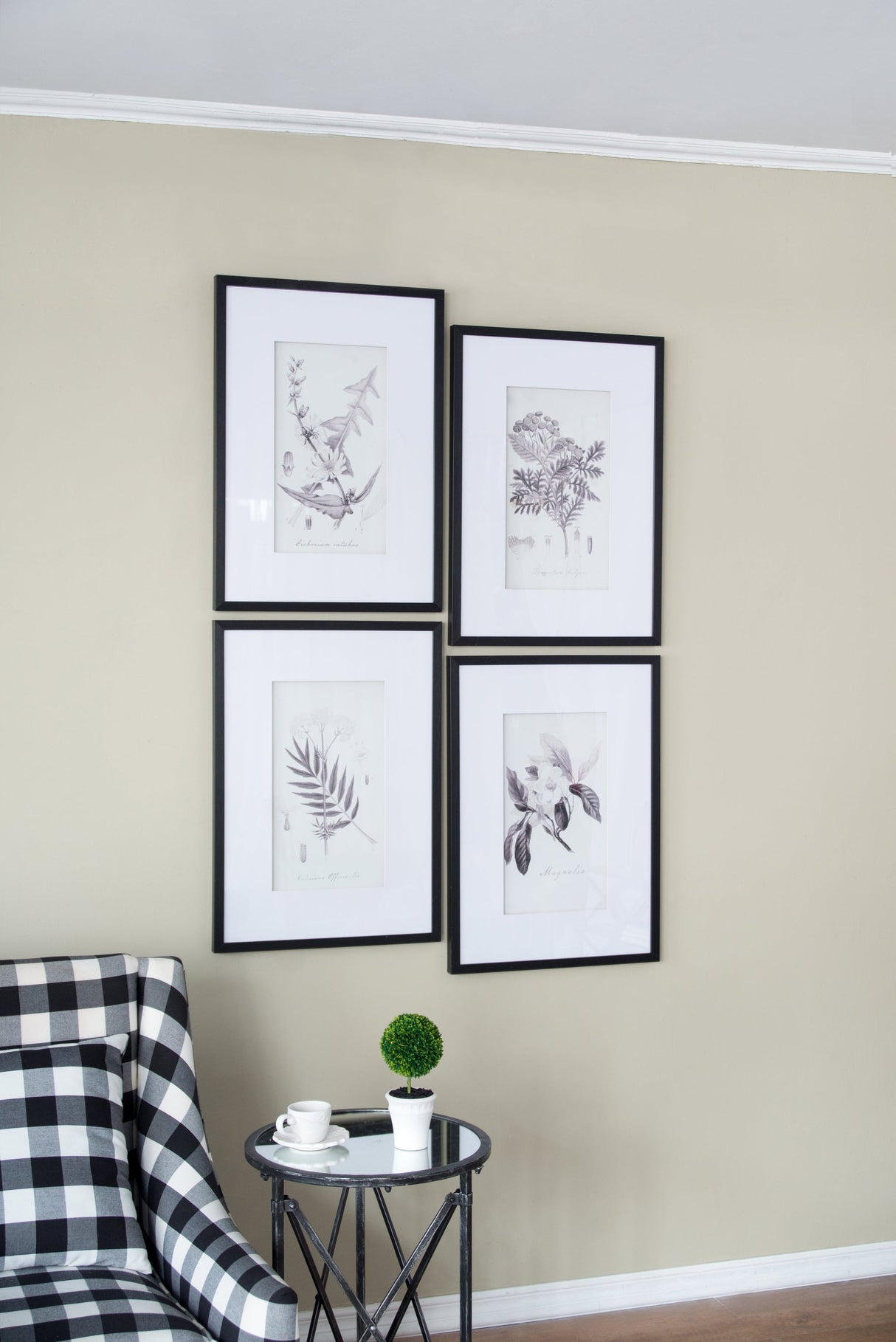 Verdura Botanica: Four-Print Houseplant Pencil Art Set