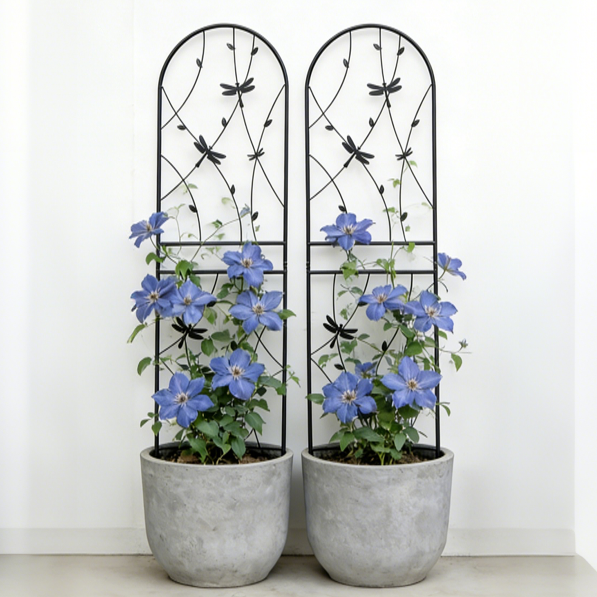 2 Pack Metal Garden Trellis 71" x 19.7" Rustproof Trellis for Climbing Plants