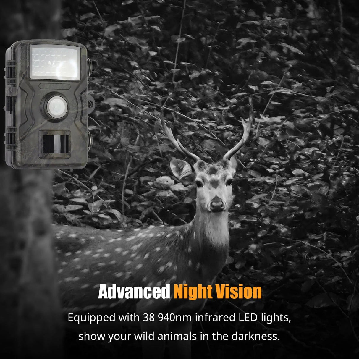 1080P Trail Camera 16MP Night Vision Wildlife Hunting Camera IP66 Waterproof