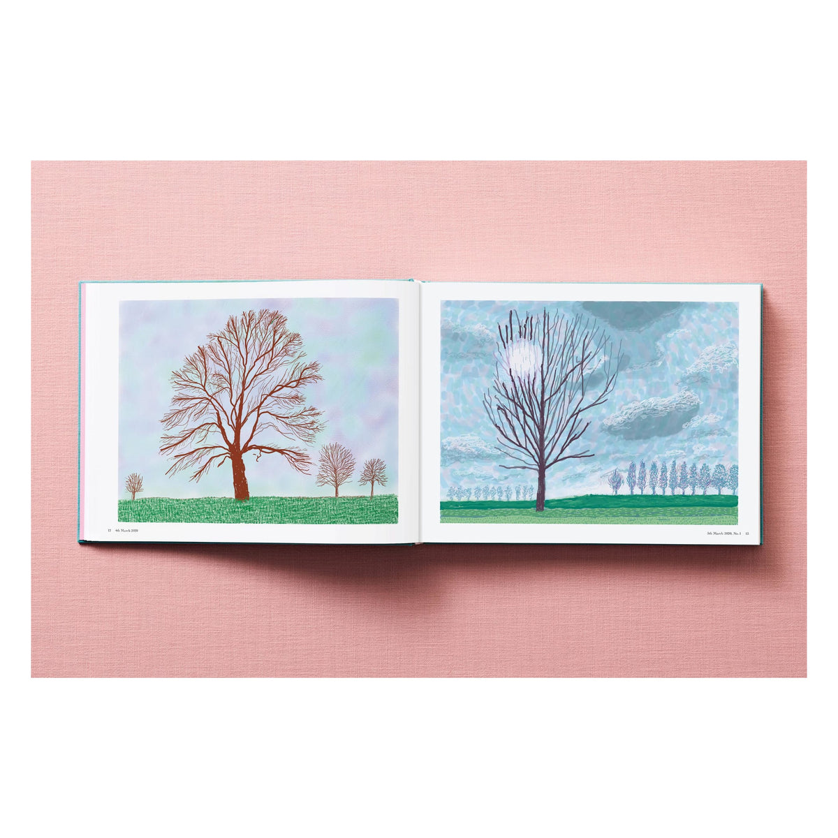David Hockney. 220 for 2020 (English)