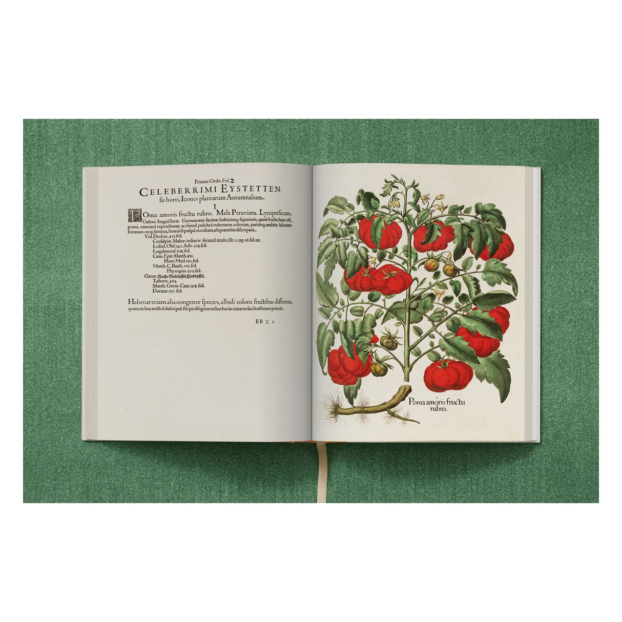 Basilius Besler. The Garden at Eichstätt (German, French, English) (FFE)