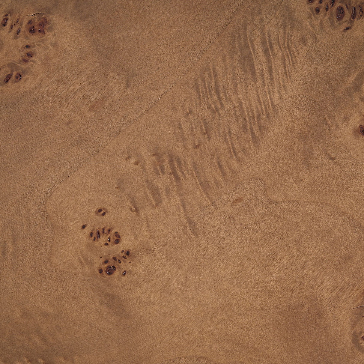 31.49'' Burl Wood Veneer Round Coffee Table