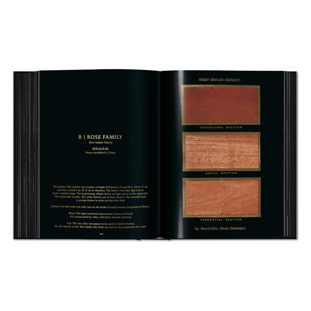 Romeyn B. Hough. The Woodbook. The Complete Plates (English)