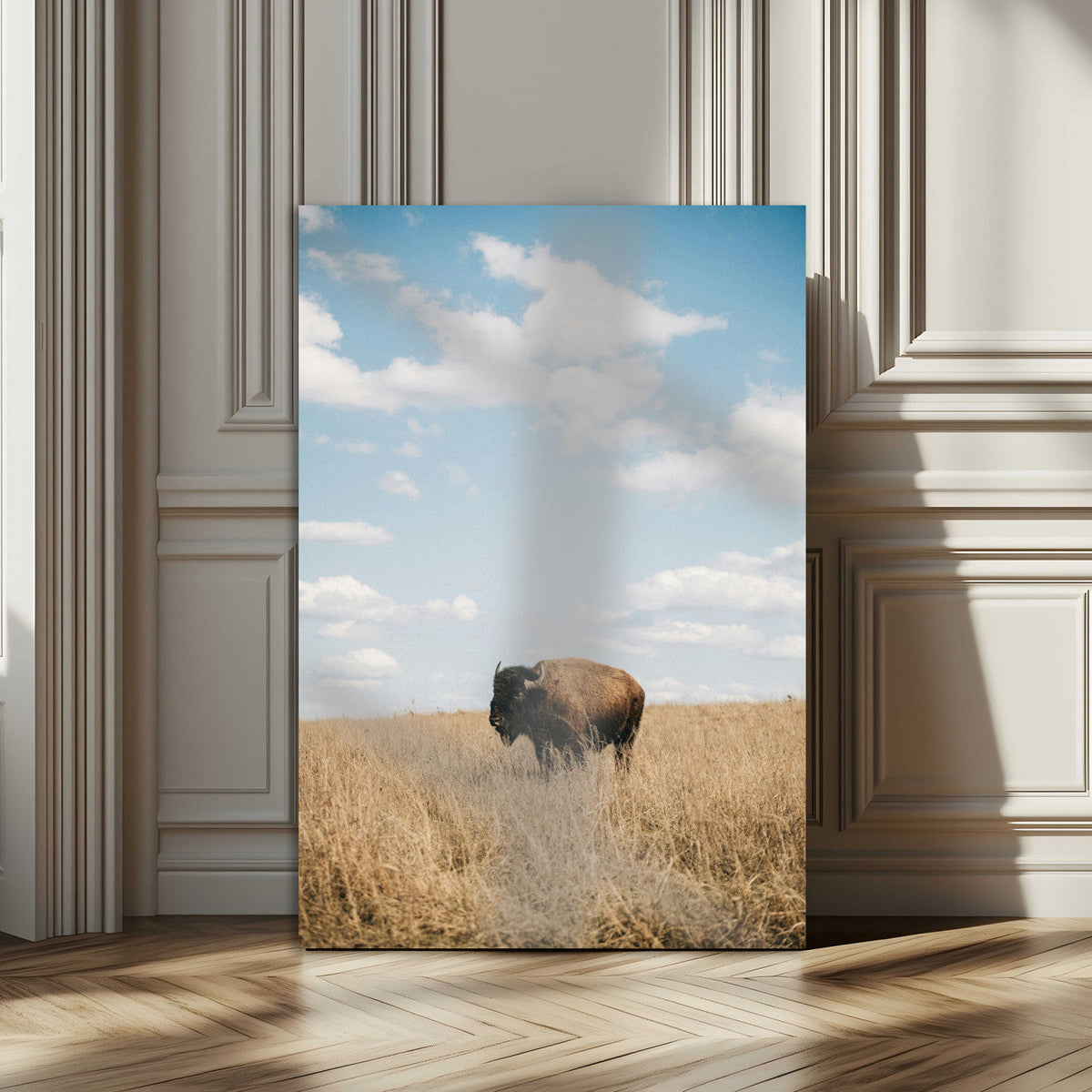 Bison Photography Wall Art Canvas Print – Framed Western