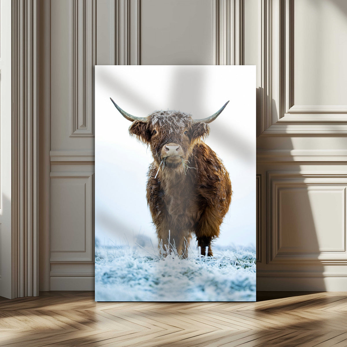 Highland Cow Wall Art Canvas Print – Framed Frosty Winter
