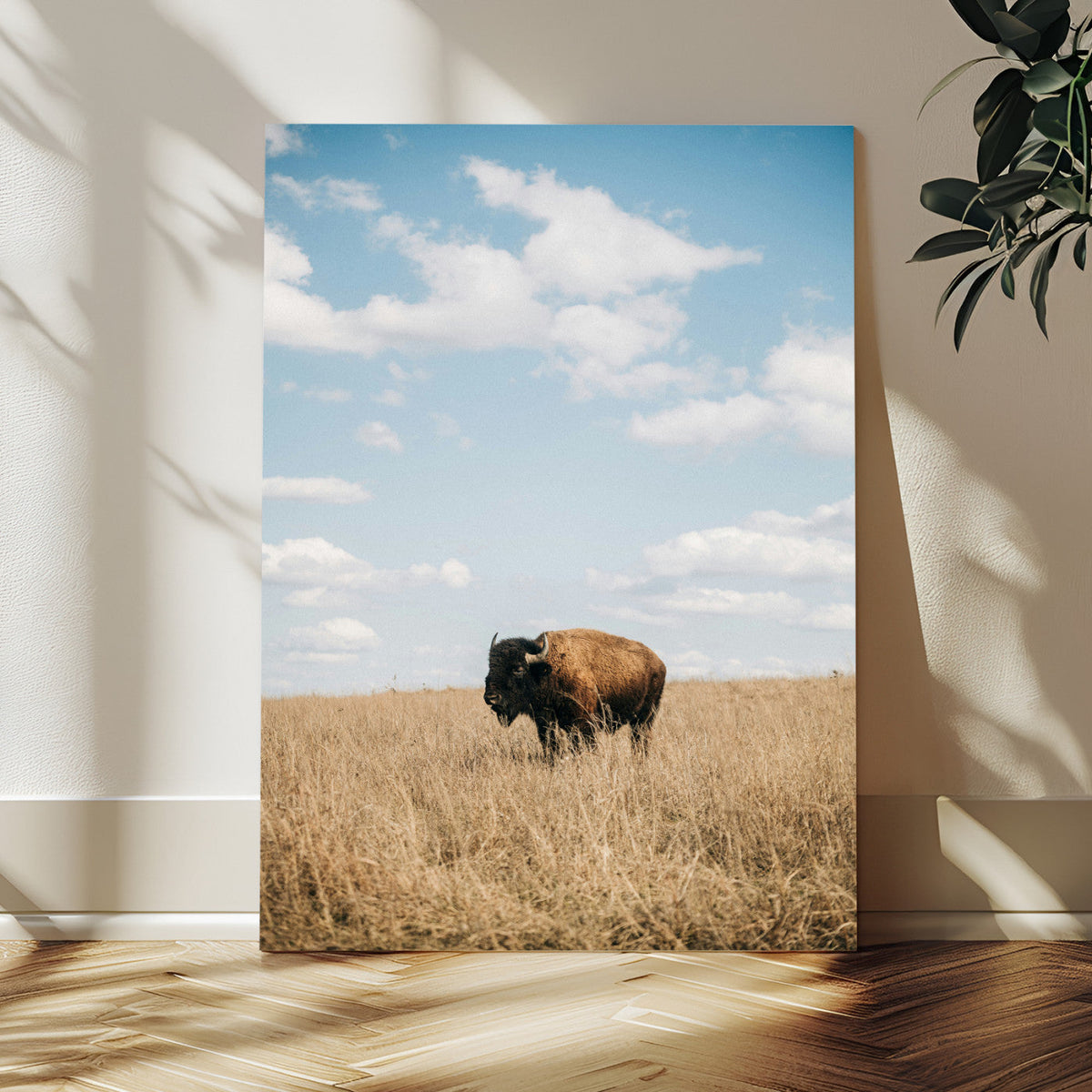 Bison Photography Wall Art Canvas Print – Framed Western