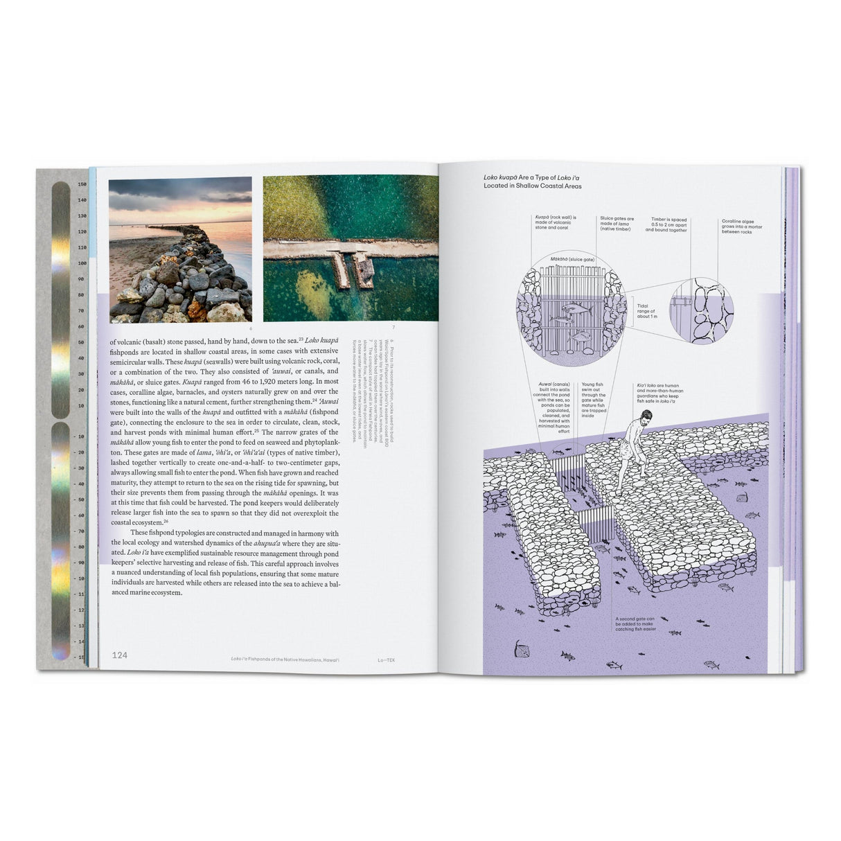 Julia Watson. Lo—TEK. Water. A Field Guide for TEKnology (English)