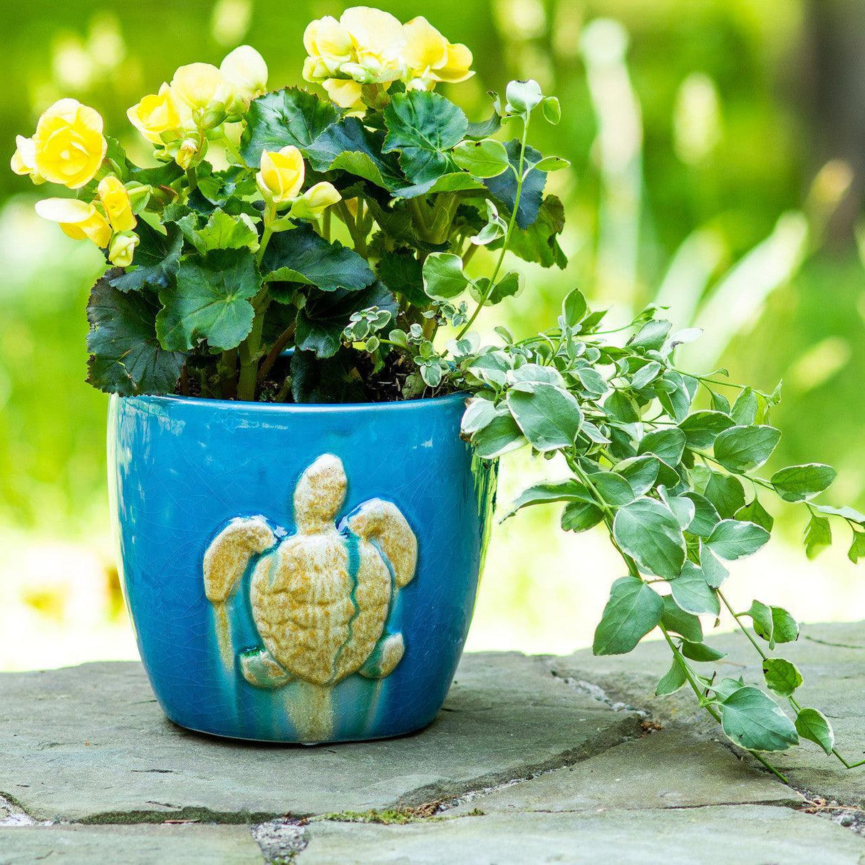 Adriatic-Sea-Turtle-Ceramic-Planter-–-Hand-Decorated-Coastal-Accent-Pots-&-Planters