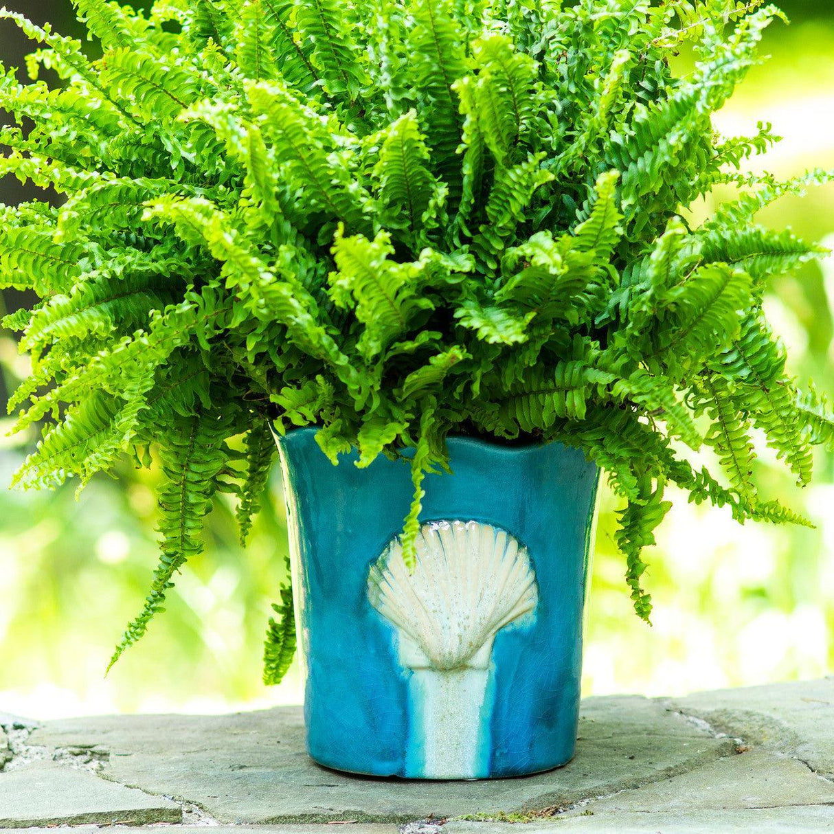 Grotto--hand-decorated-seashell-scalloped-planter-Pots-&-Planters