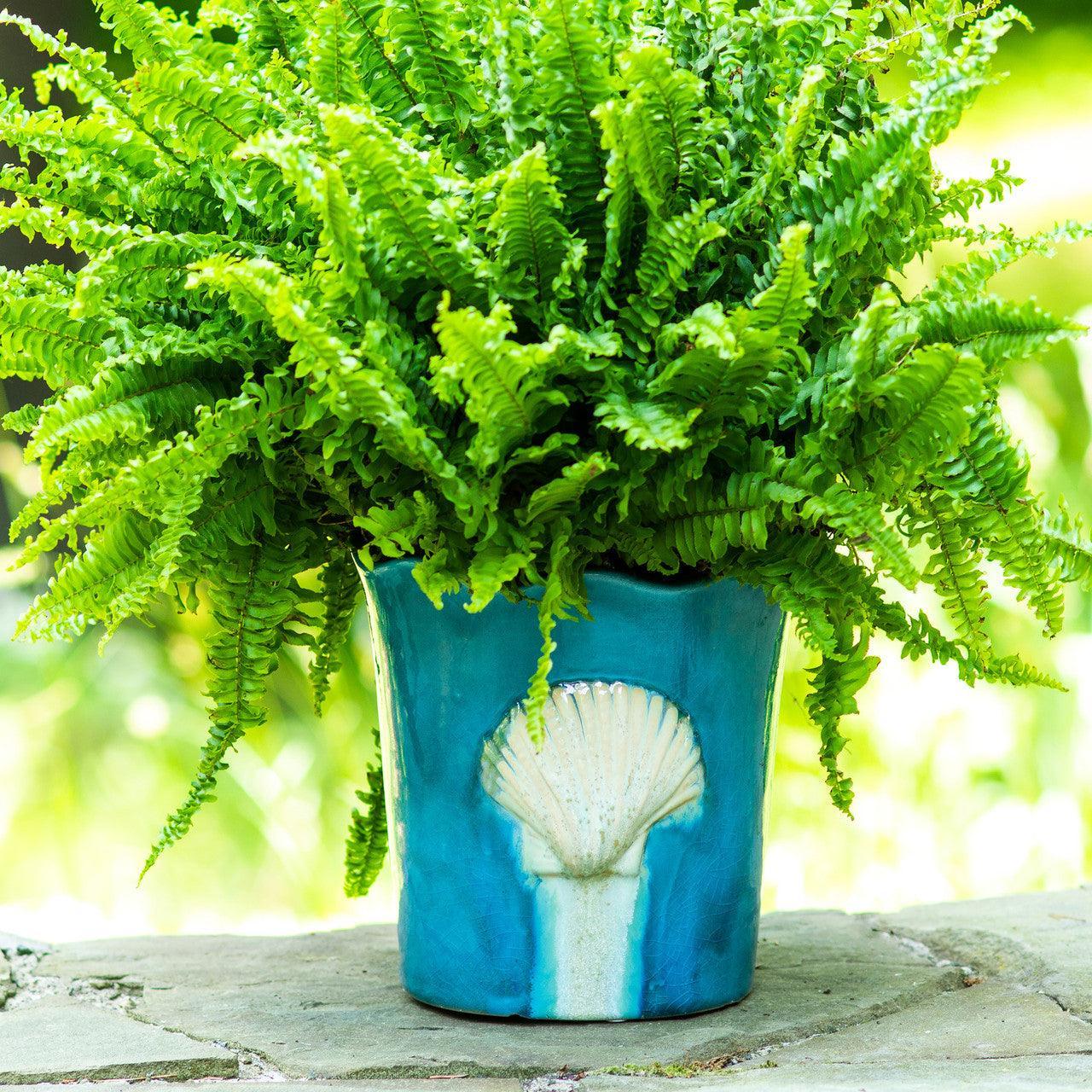 Grotto--hand-decorated-seashell-scalloped-planter-Pots-&-Planters