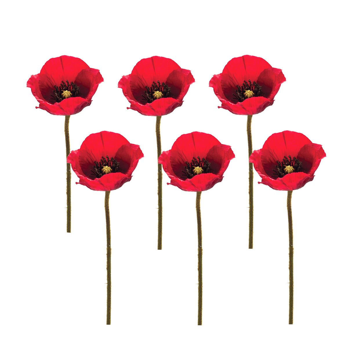Bright-Red-Poppy-Flower-Stem-(Set-of-6)-Christmas-Tree