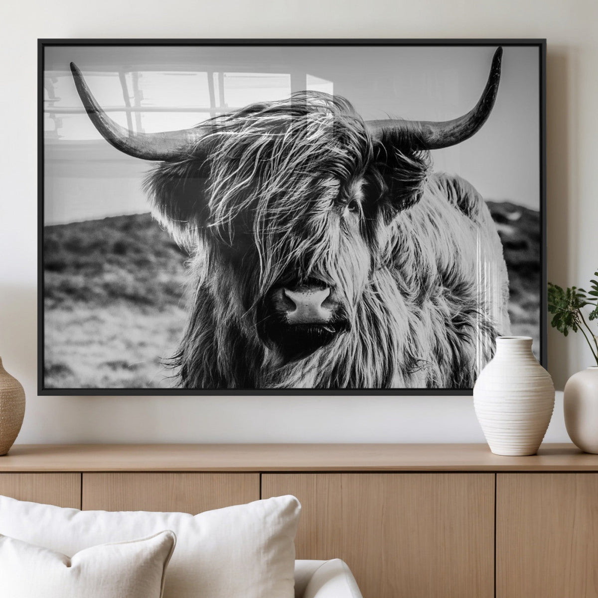 Black and White Scottish Cow Canvas Wall Art Highland Cattle