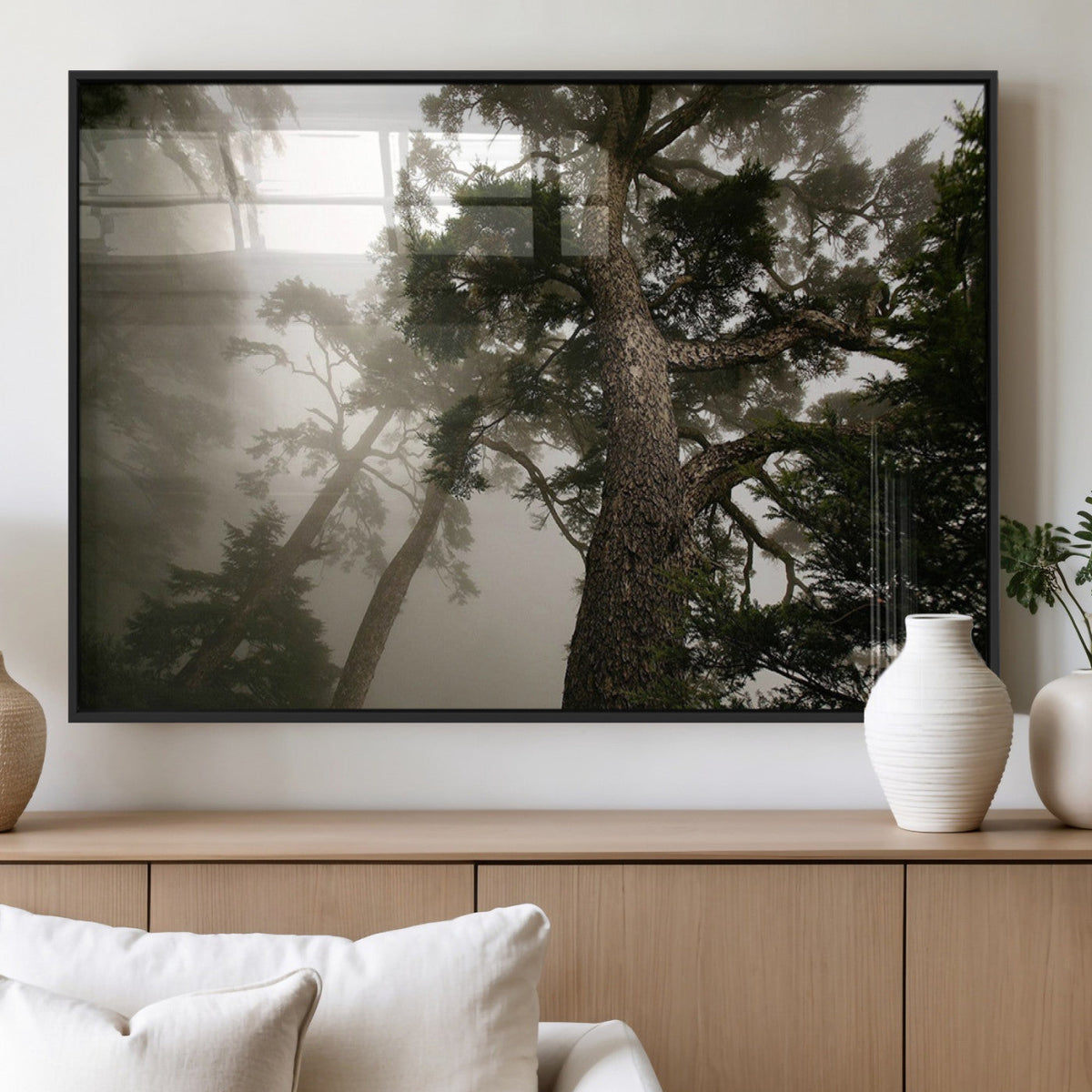 Misty Forest Wall Art Canvas Print, Tall Trees and Foggy