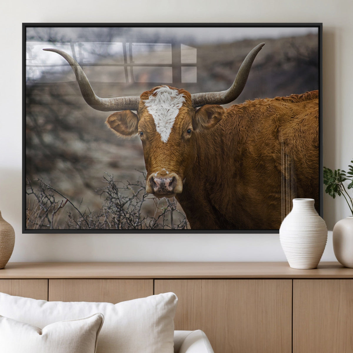 Texas Longhorn Canvas Wall Art - Longhorn Steer Canvas Wall