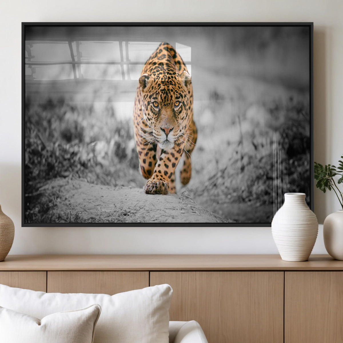 Jaguar Wall Art Canvas Print - Majestic Big Cat in Focused