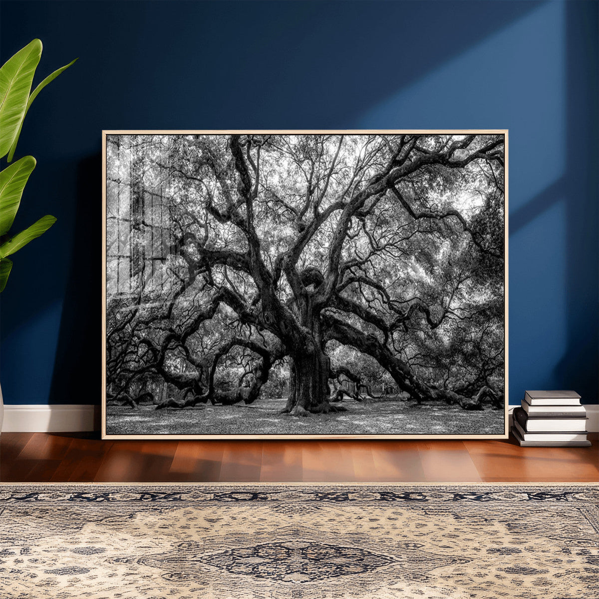Black and White Old Angel Oak Tree Wall Art Canvas Print