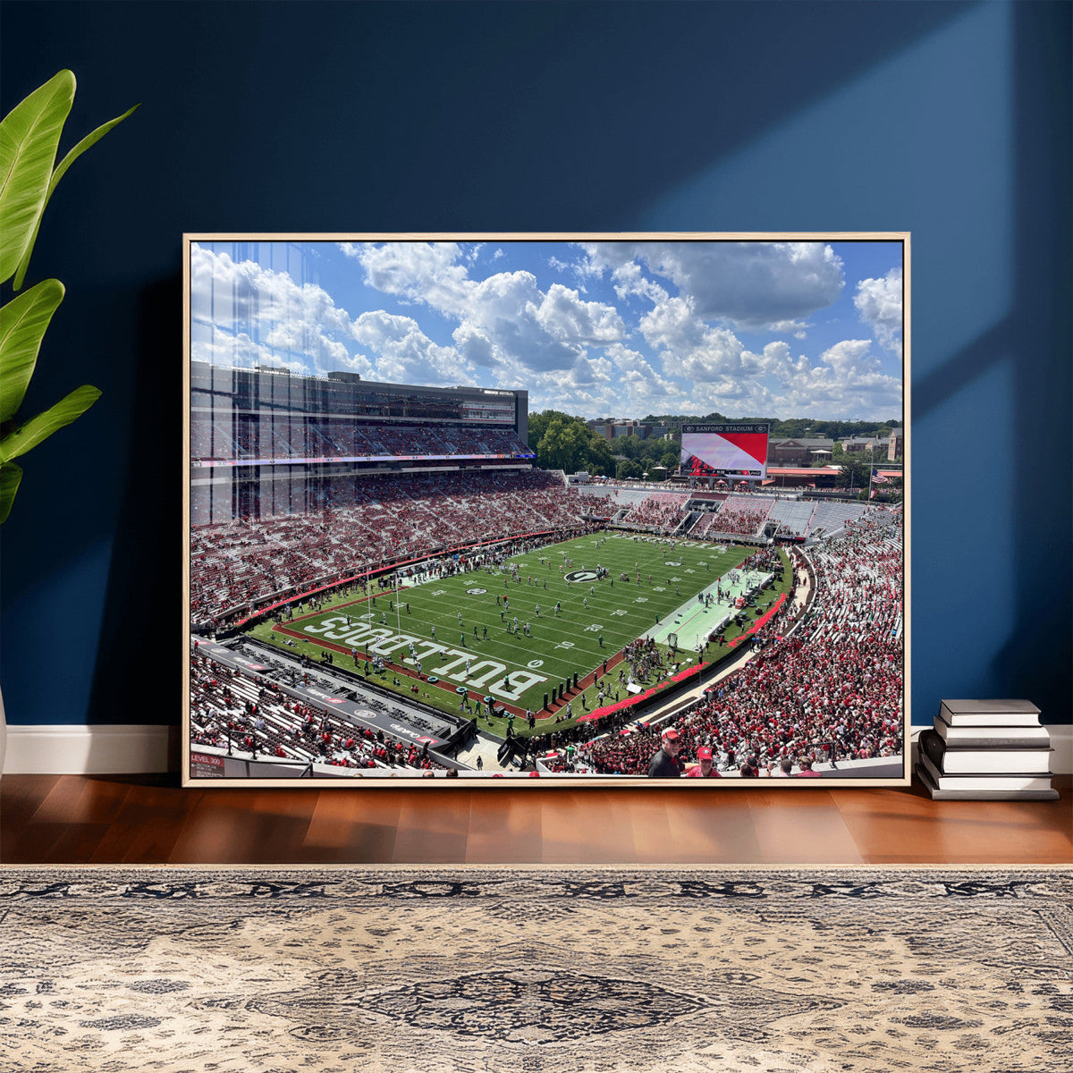 Georgia Bulldogs Stadium Wall Art Canvas Print, Sanford