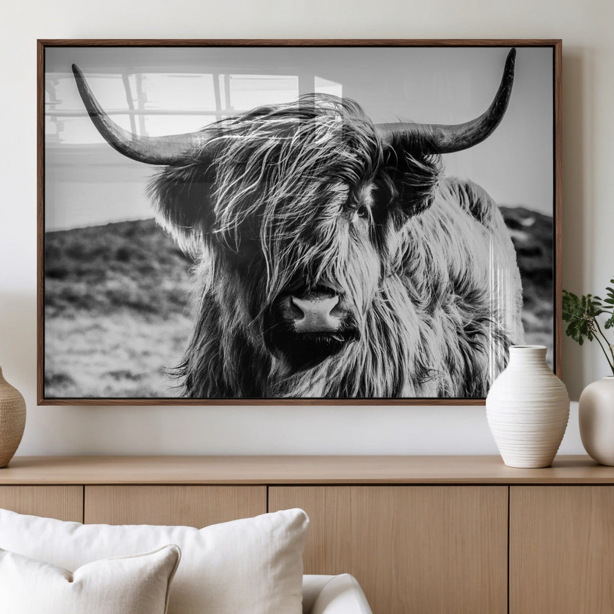Black and White Scottish Cow Canvas Wall Art Highland Cattle