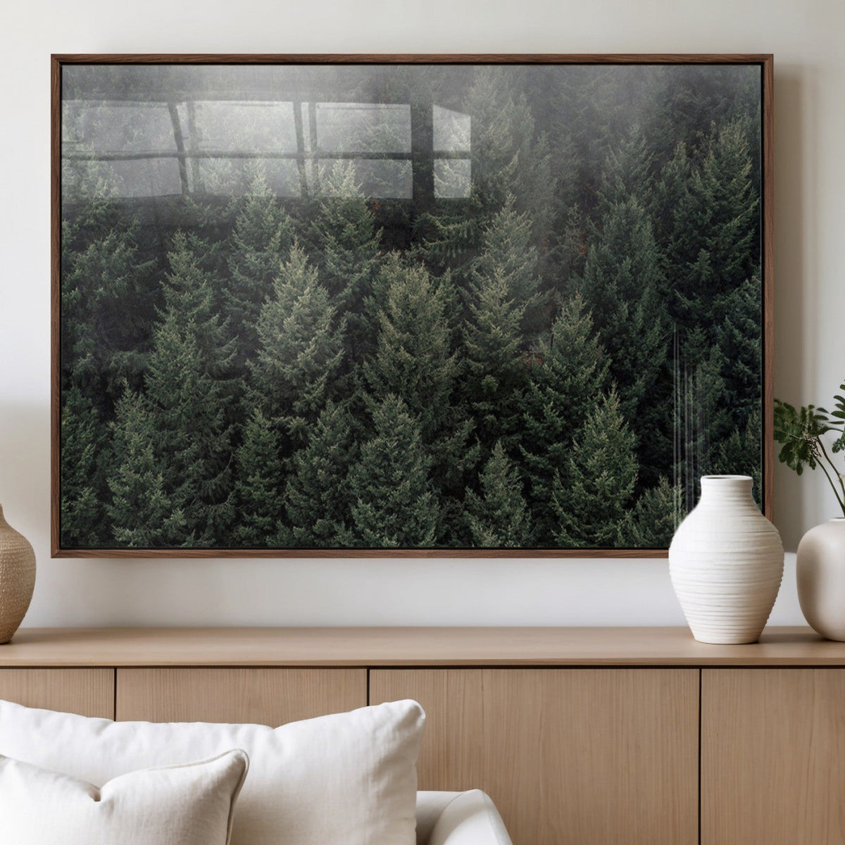 Dense Evergreen Forest Misty Morning Fog Pine Trees Woodland