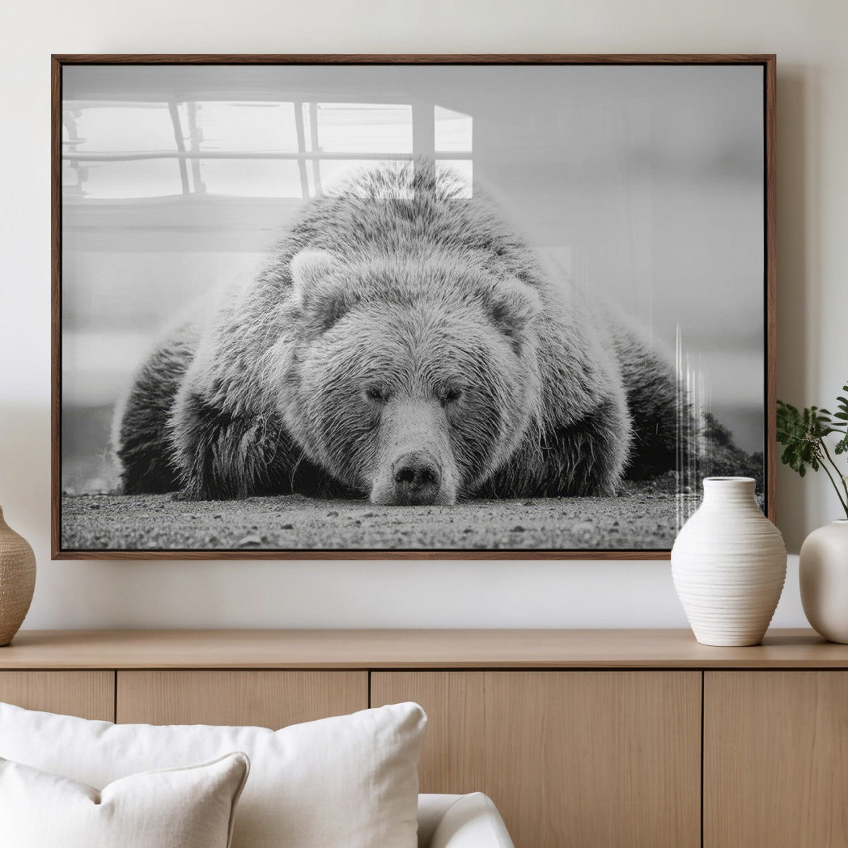 Resting Grizzly Bear Wall Art Canvas Print – Majestic Lazy