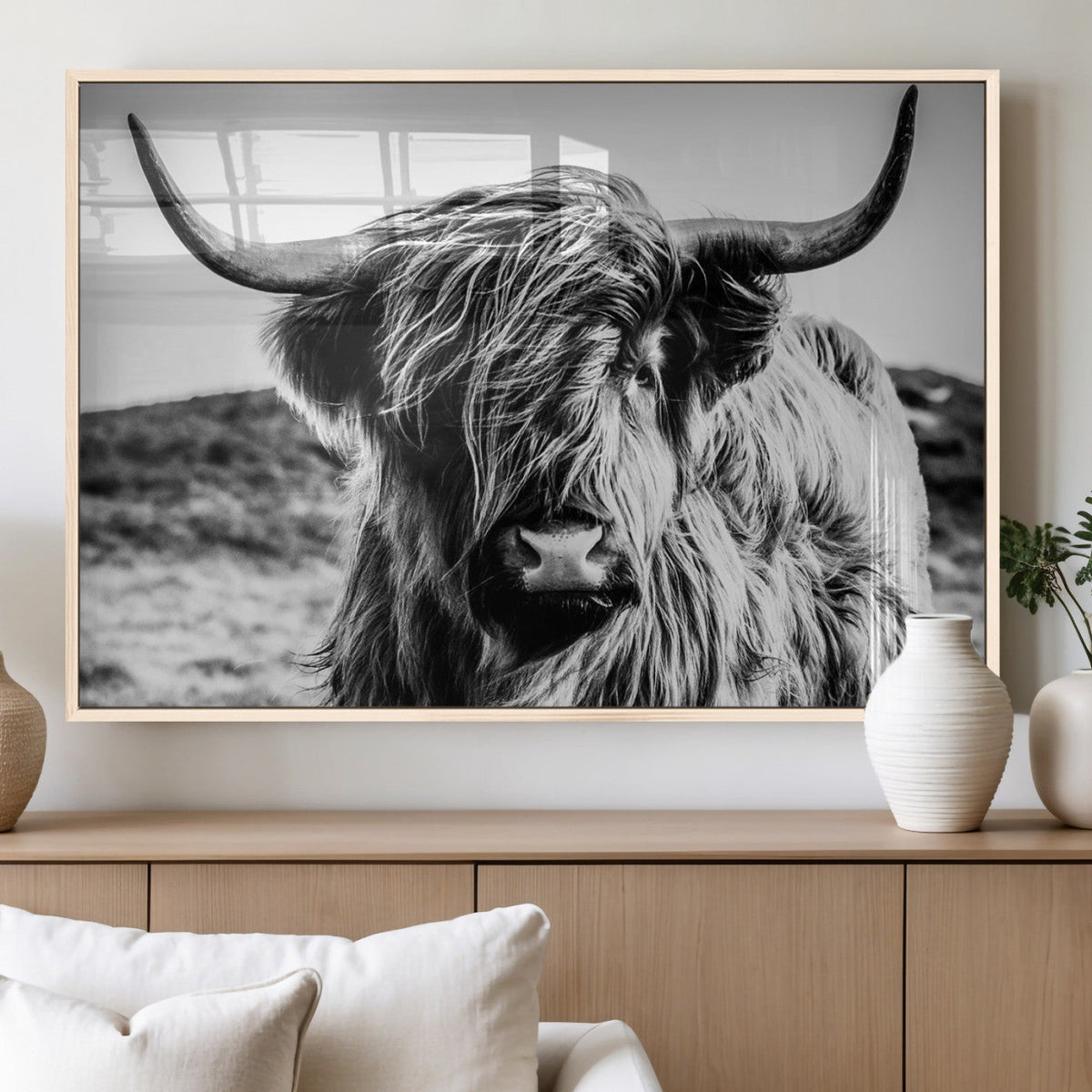Black and White Scottish Cow Canvas Wall Art Highland Cattle