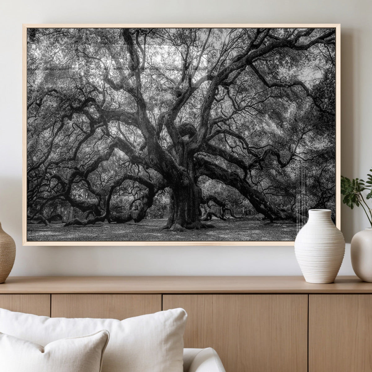Black and White Old Angel Oak Tree Wall Art Canvas Print