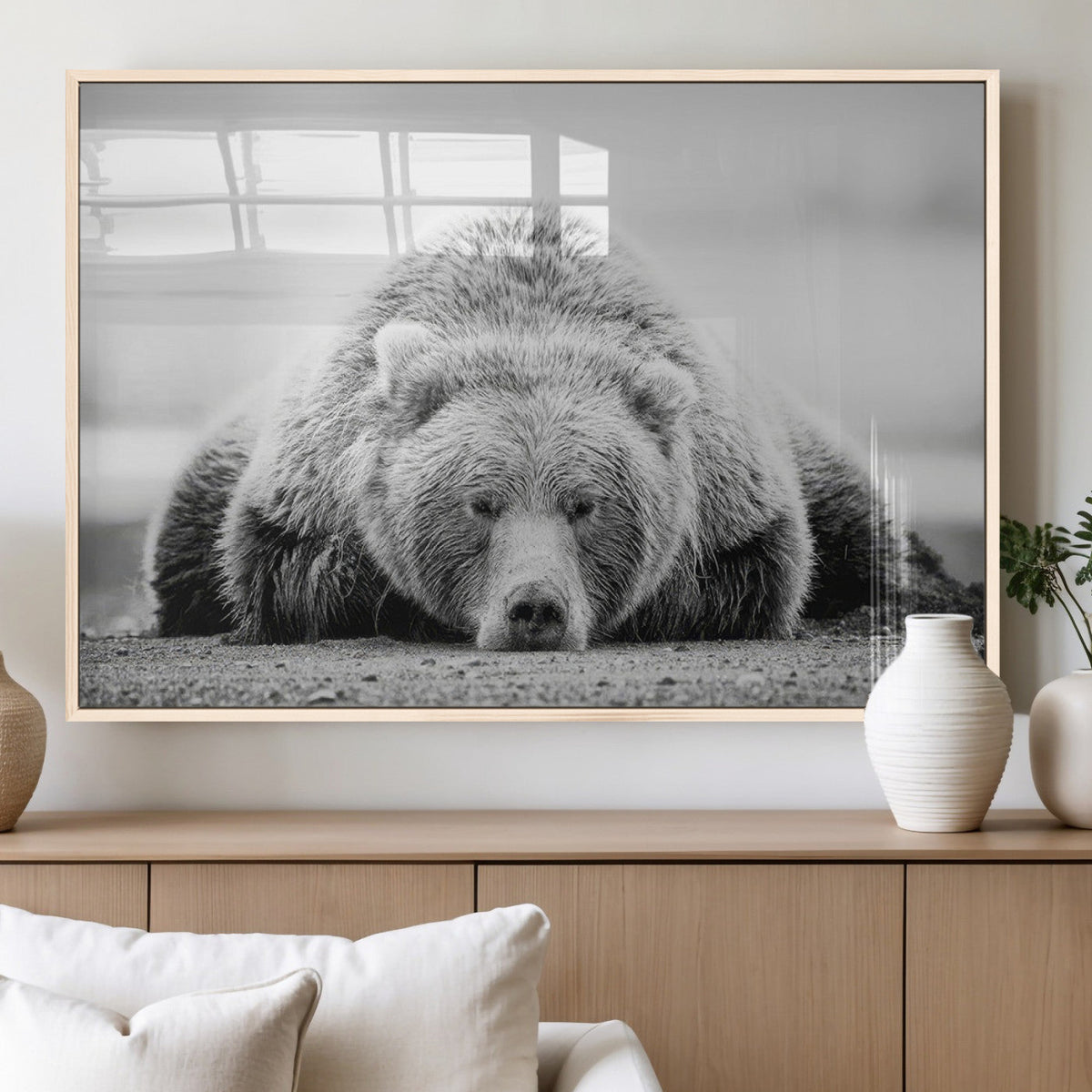Resting Grizzly Bear Wall Art Canvas Print – Majestic Lazy