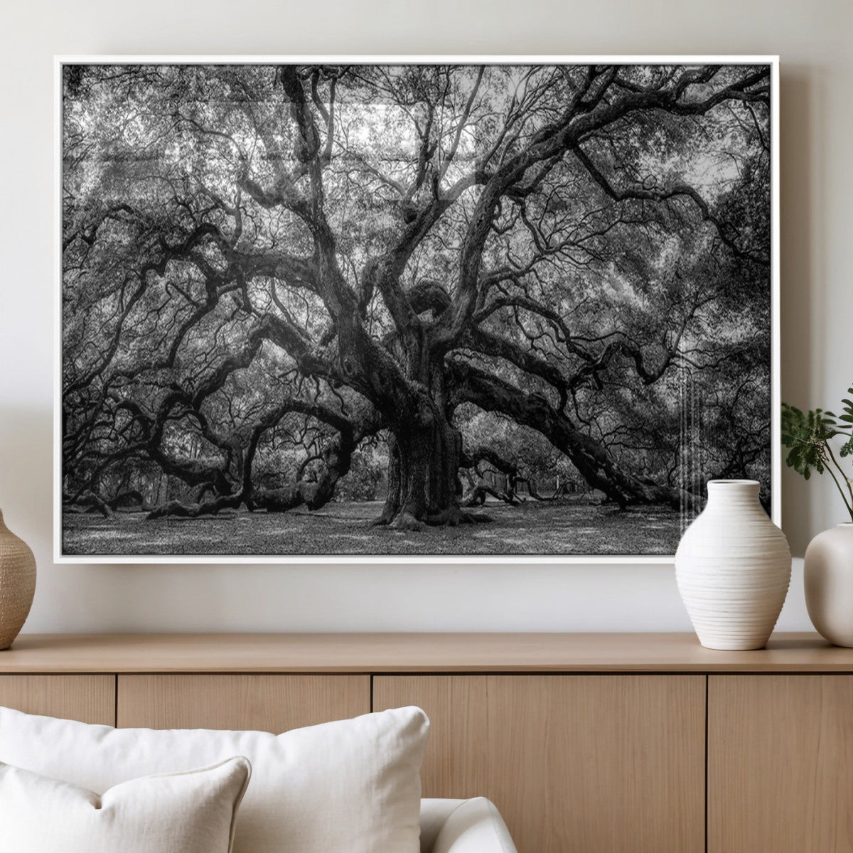 Black and White Old Angel Oak Tree Wall Art Canvas Print