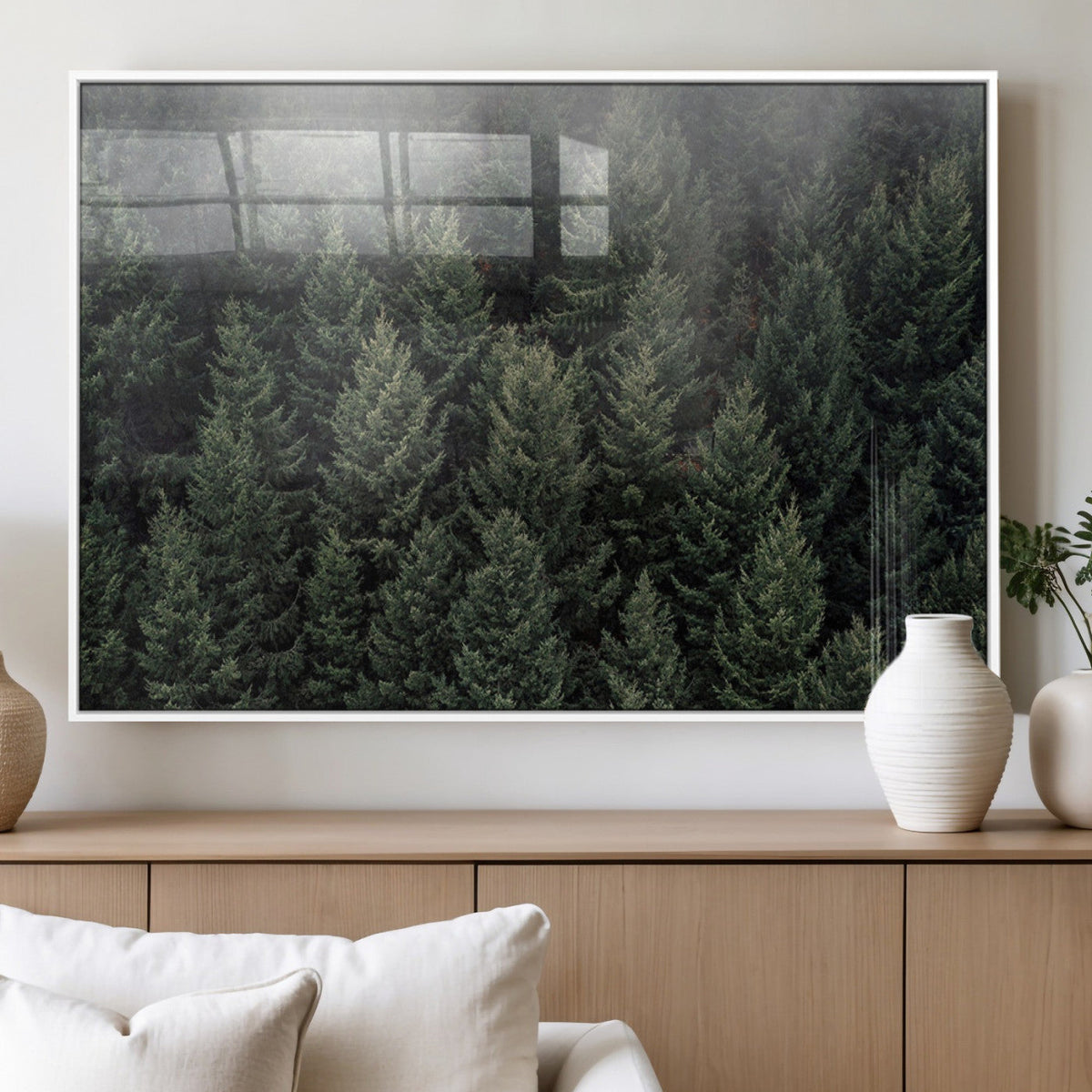 Dense Evergreen Forest Misty Morning Fog Pine Trees Woodland