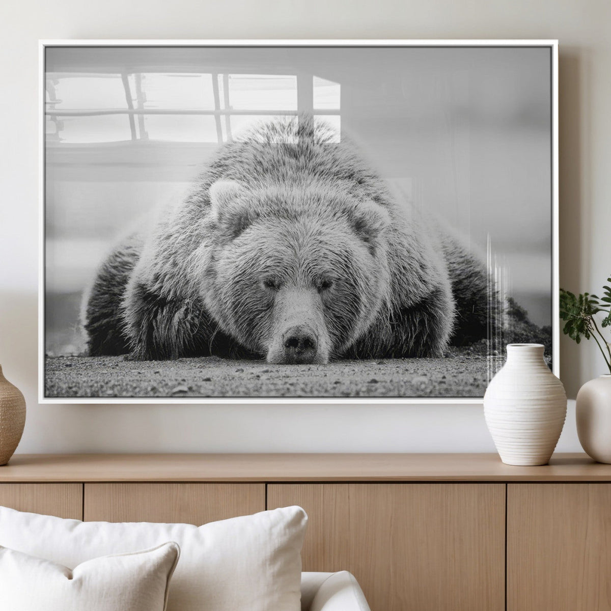 Resting Grizzly Bear Wall Art Canvas Print – Majestic Lazy
