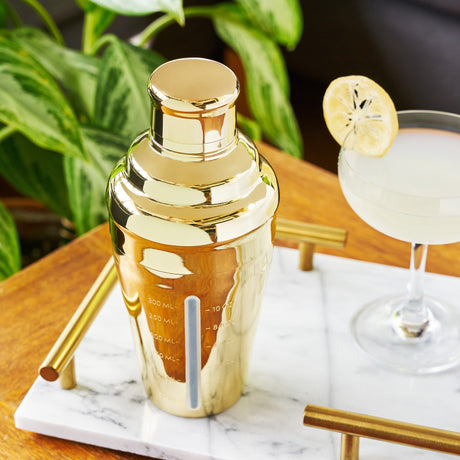 Belmont-Measured-Cocktail-Shaker-in-Gold-Viski®-Cocktail-&-Barware-Tool-Sets