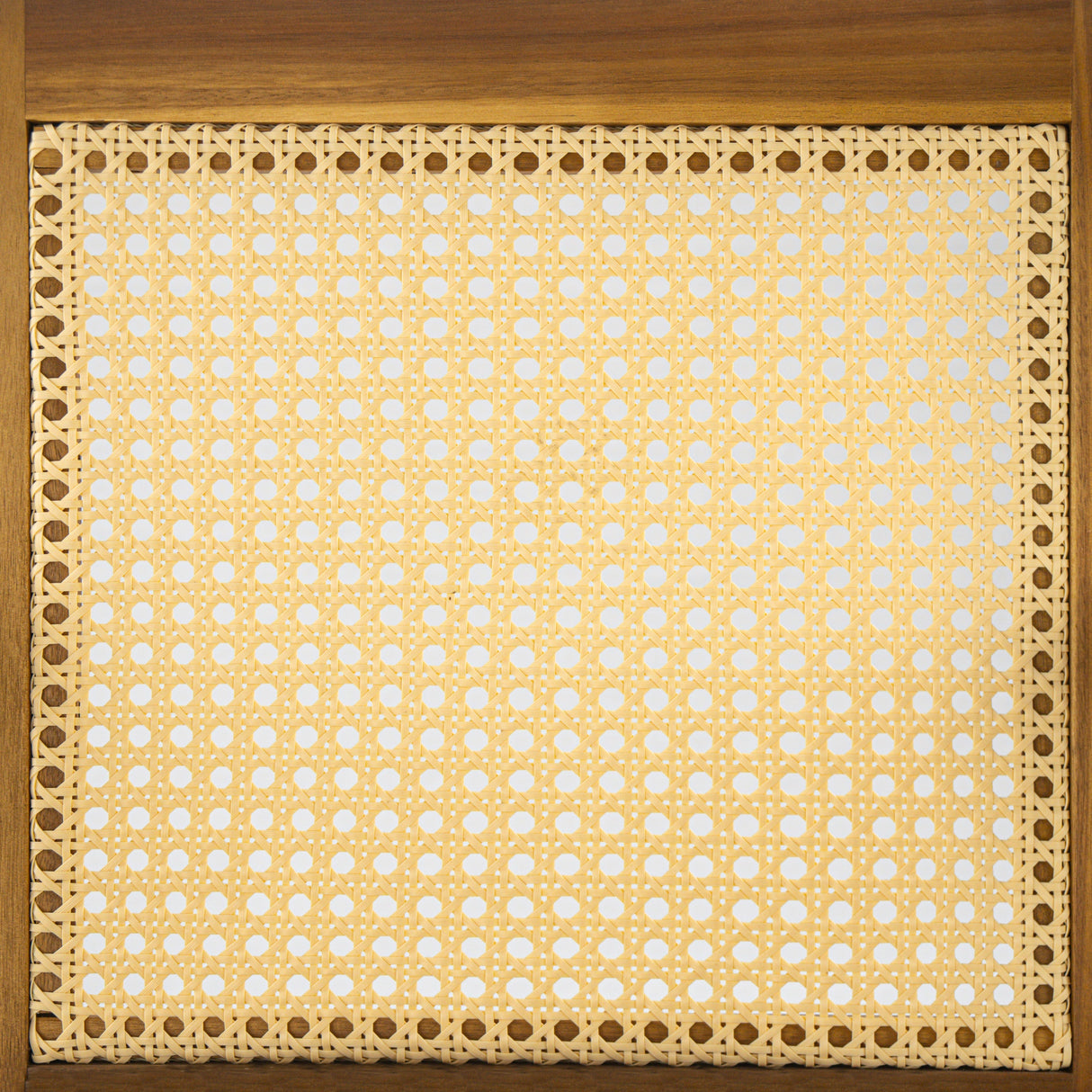 Preston Outdoor Dining Chair with Cushion Set