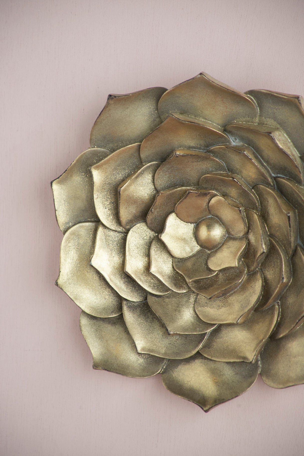 D10x1.4' Succulent Wall Plaque