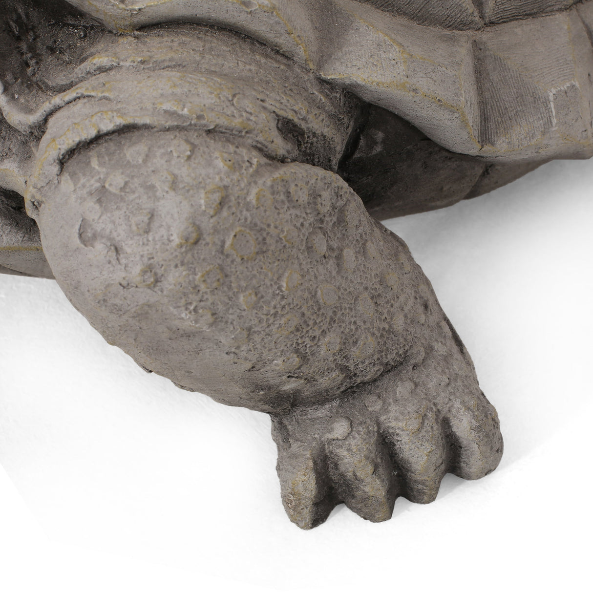 Turtle Decor Outdoor Turtle Statue in Dark Gray