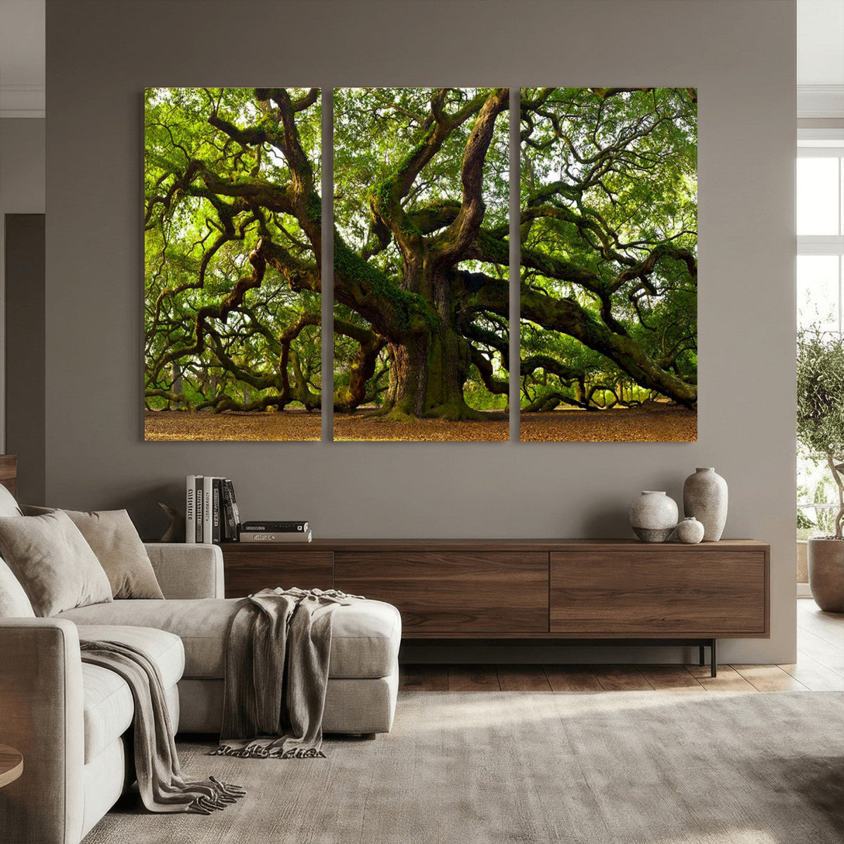 Angel Oak Tree Wall Art Canvas Print | Forest Tree Nature