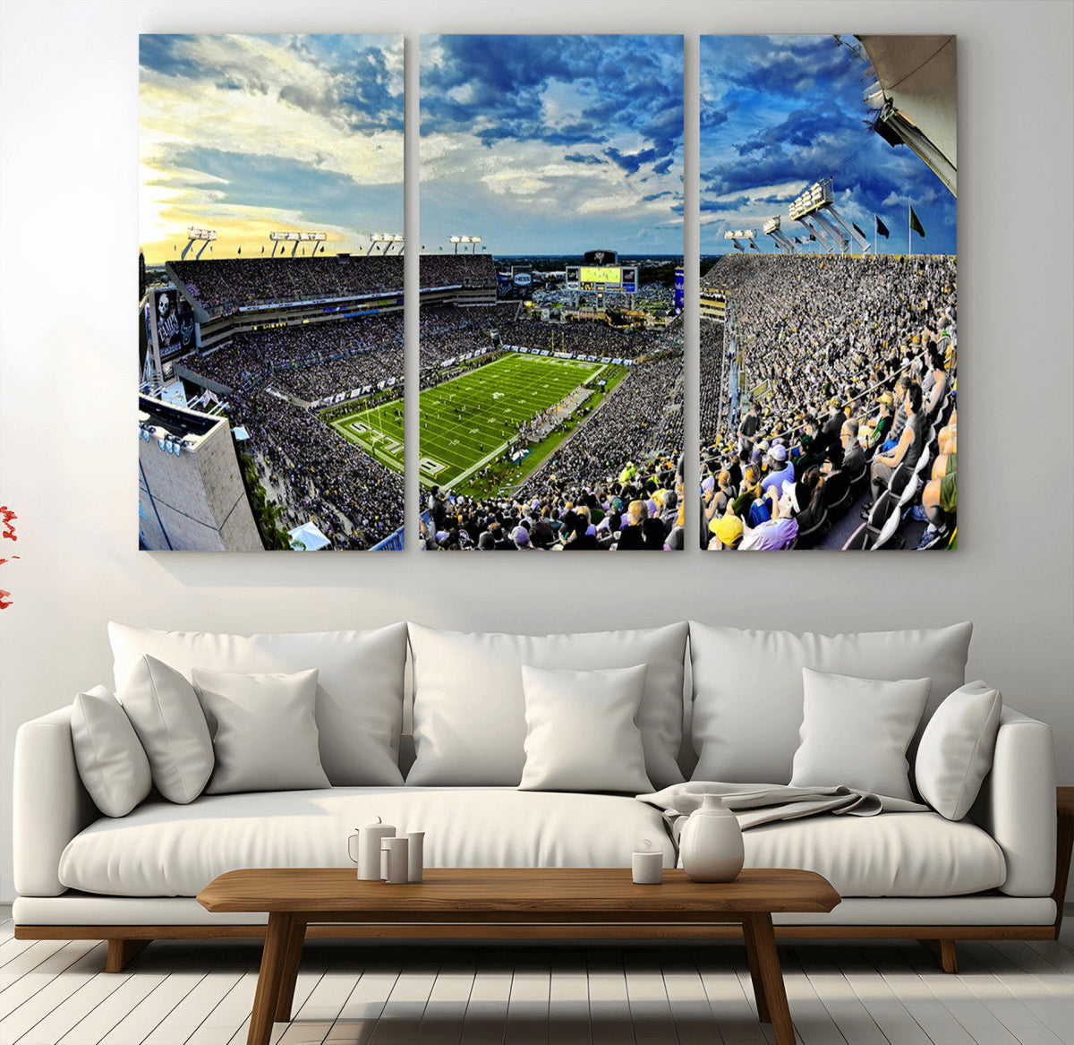 Framed USF Bulls Football Team Print - Tampa Raymond James