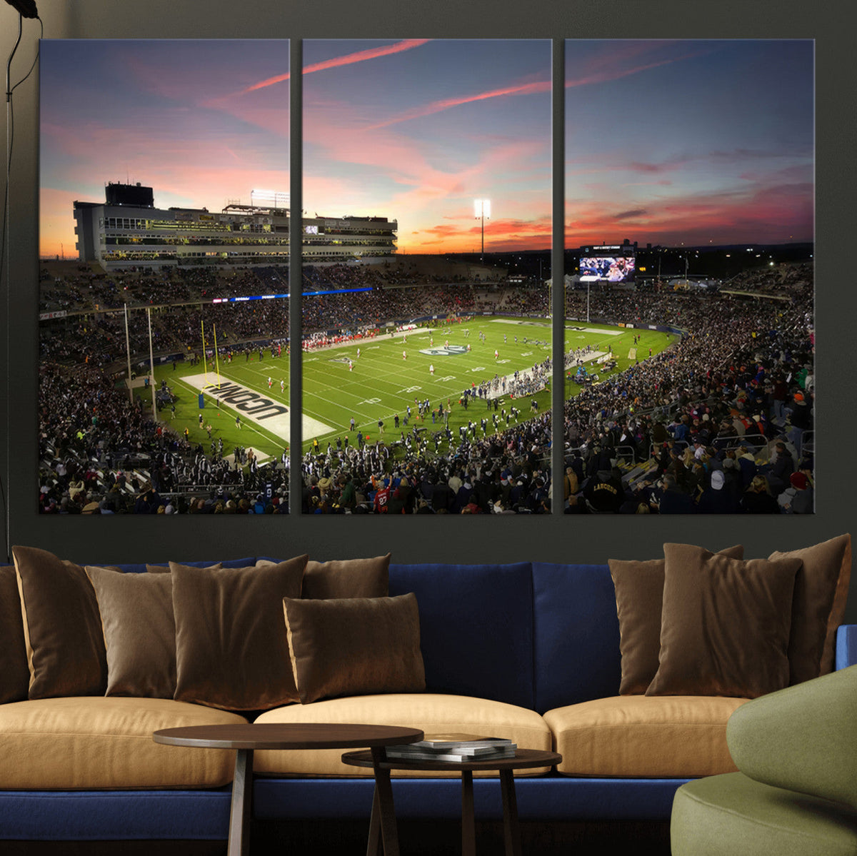 The University of Connecticut UCONN Huskies Football Team