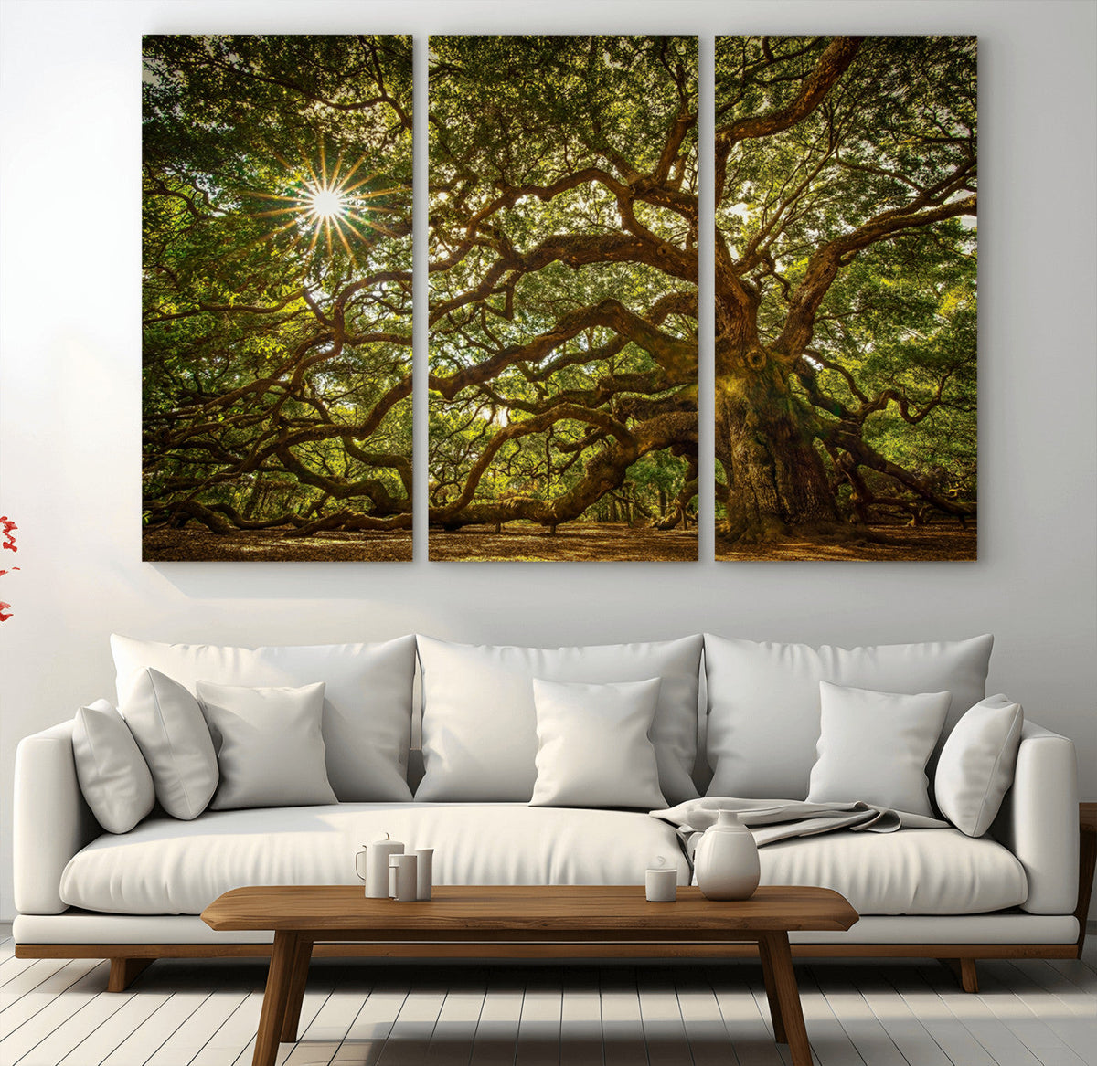 Ancient Angel Oak Tree Art Sunburst Canvas Print-