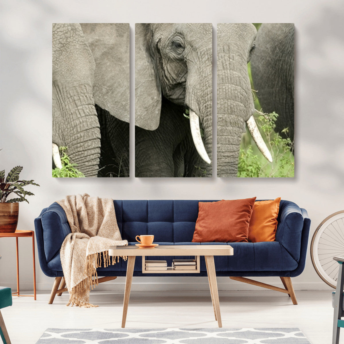 Wild Elephant Wall Art Canvas Print