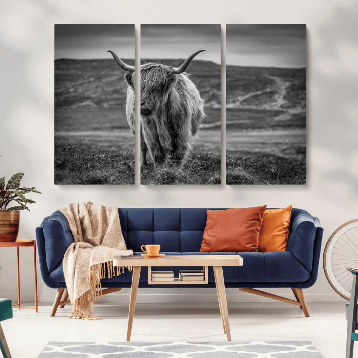 Fluffy Cattle Wall Art Print, Highland Cow Canvas, Framed